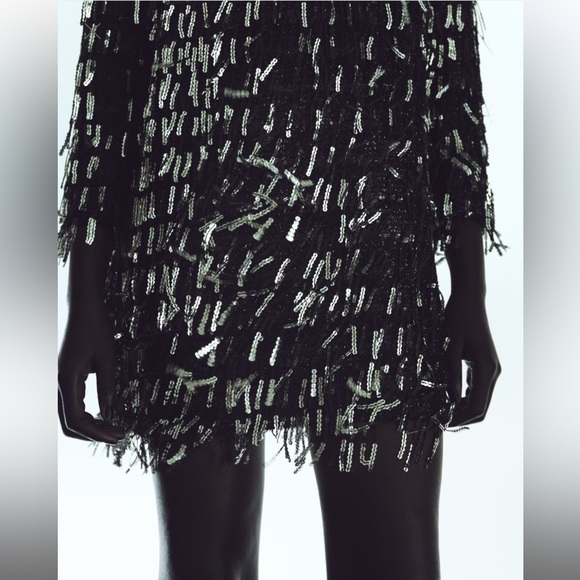 FRINGED SEQUIN MINI SHIFT DRESS - Picture 5 of 7
